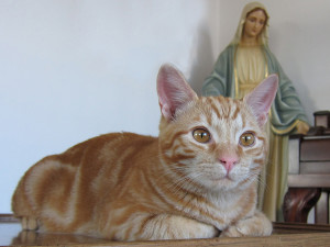 max and the blessed mother